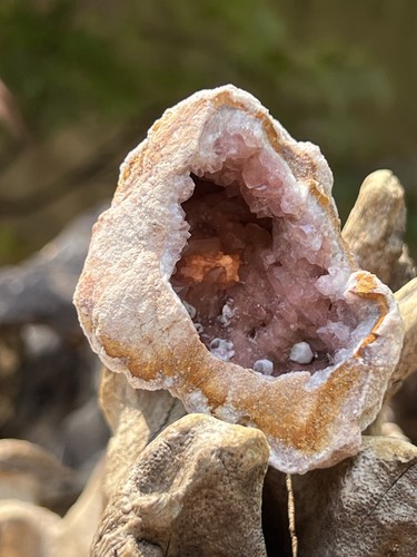 Pink amethyst geode rose - pink, rare