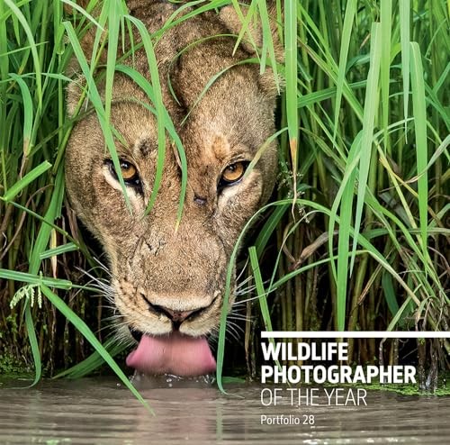 Wildlife photographer the - wildlife, of