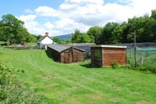 Photo 6x4 Game bird rearing