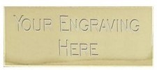 Engraved Award Picture Trophy Plate/Plaque Gold/Silver Many Sizes Trophies