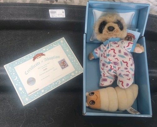 Baby oleg meerkat - baby,