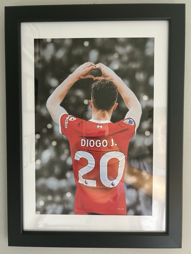 Diogo jota liverpool number - jota,