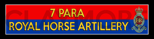 Para royal horse - 7,
