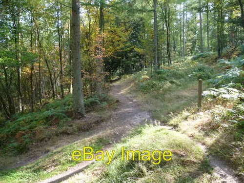 Photo 6x4 mountain bike - photo,