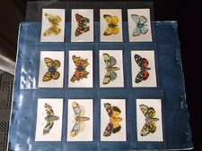 Full Set of M12 R J Lea Ltd  Butterflies & Moths ( Silk ) V Good - EX 1924