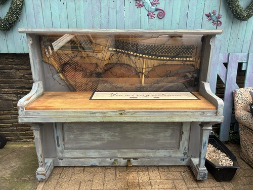 Unique piano bar man shed - , with