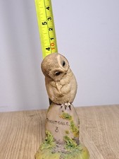 Teviotdale Owl Sitting On 3