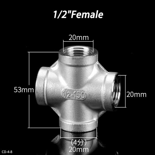 Bsp female 304 stainless - female,