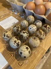 Quail Eggs 1 Dozen For Eating