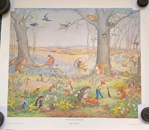 Woodland gardeners molly - woodland,