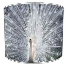 Peacock Feathers Lampshades Ceiling Lights Table Lamp shades & Pendant shades.