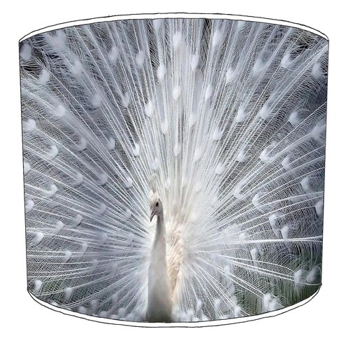Peacock feathers lampshade - feathers,