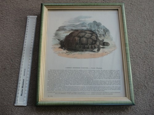Unusual framed print - unusual, a