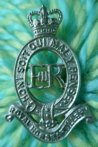 Royal horse artillery - horse,