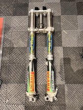 KAWASAKI KX 250 Front Forks