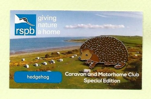 Rspb pin badge hedgehog - -,