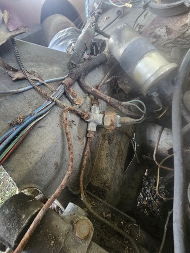 Midget austin healey sprite - midget,