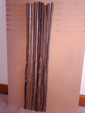 Hazel walking stick shanks x