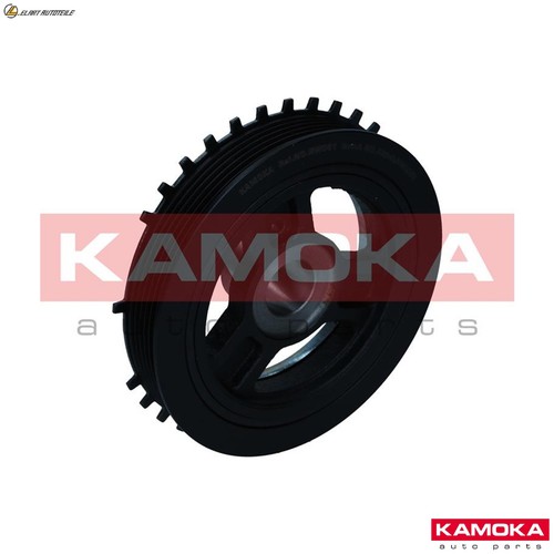 Pulley crankshaft rw051 - crankshaft,