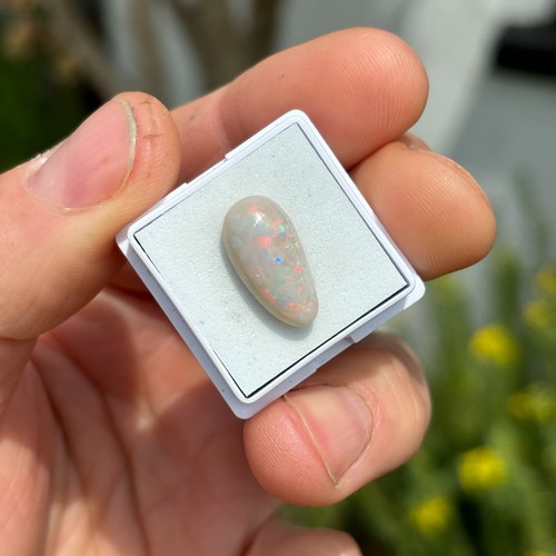 Olympic natural opal - olympic,
