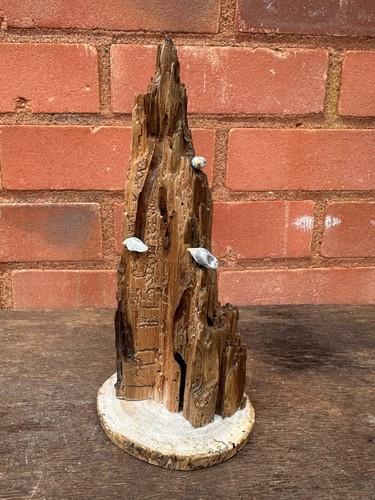Seagull driftwood sculpture - seagull,