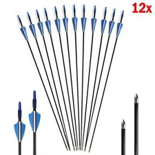 12Pcs Fibreglass Archery