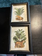 Jane Plum Lion and Leopard Wall Art Print Picture Framed