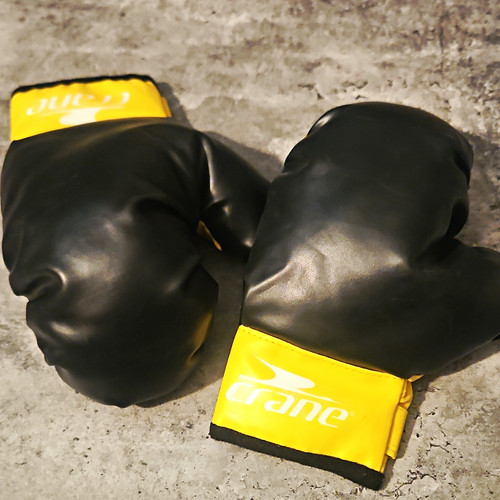 Crane boxing training gloves - boxing,