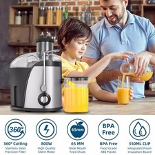 800W Juicer Machine Whole