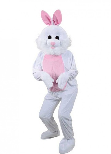 Hire easter bunny character - hire,