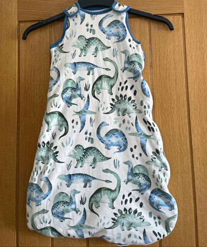 Next dinosaur theme - dinosaur, baby