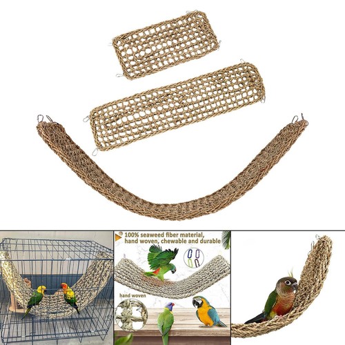 Parrot climbing rope ladder - rope,