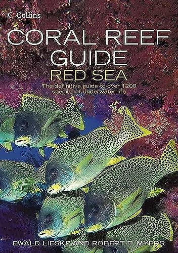 Coral reef guide red - coral, sea: