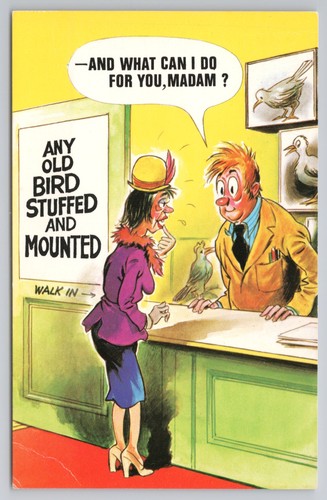 Postcard vintage comic humour