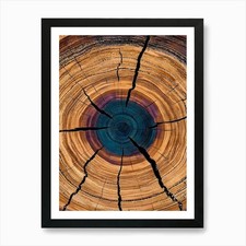 Tree Trunk 3 Art Print Framed