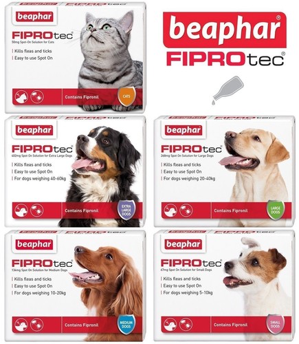 Beaphar fiprotec flea spot - spot, on
