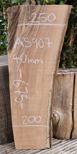 Live edge ash slab - live,