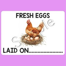 180 Egg Box Labels Custom Egg