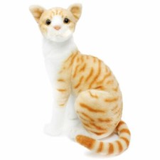 Tobias The Orange Tabby Cat |