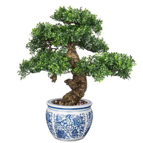 Dilatata fake bonsai tree - dilatata,