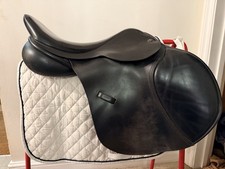 Ideal, Grandee, Jump Saddle 