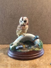 Border Fine Arts Studio Birds by Russell Willis 484350 Tawny Owl On Sink 1998