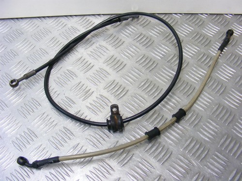 Triumph tiger 955 brake - triumph,
