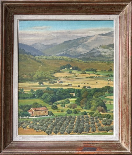 Landscape mountain trees field - trees,