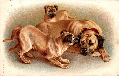 Vintage artist postcard - vintage,
