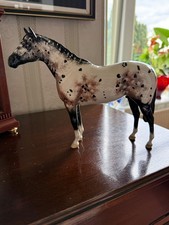 Beswick Appaloosa Stallion