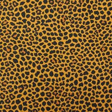 Bold Animal Print Upholstery