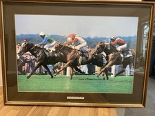 Horse Racing Ascot Gold Cup