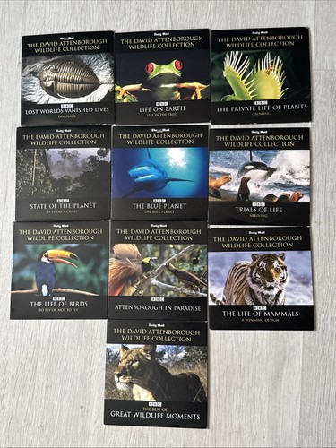 David attenborough wildlife - david,