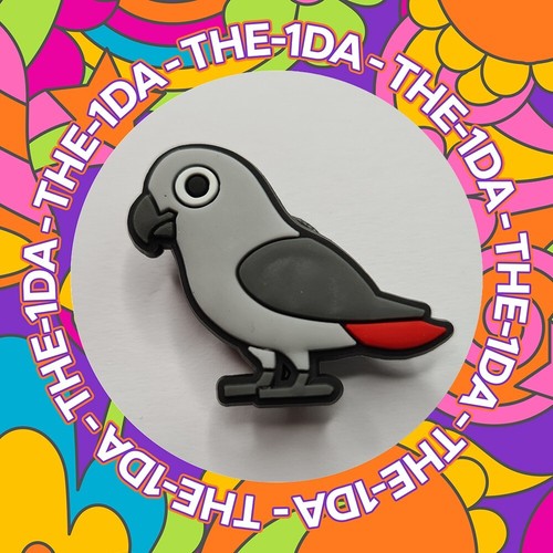 Super cute baby african grey - super,